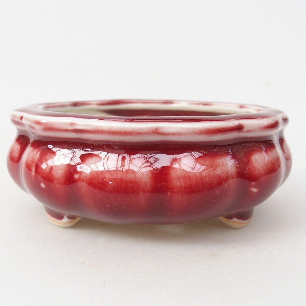 Bonsaischale aus Keramik 10 x 10 x 4 cm, Farbe rot