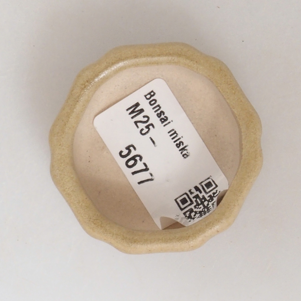 Mini-Bonsaischale 4,5 x 4,5 x 2 cm, braun