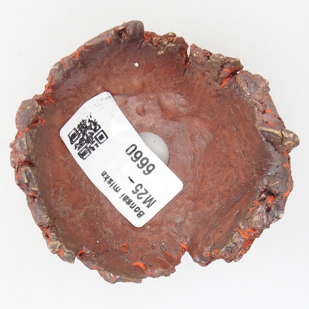 Keramische Muschel 7 x 7 x 4 cm , Farbe orange