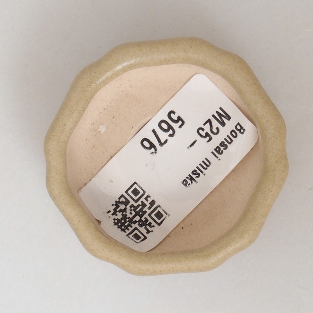 Mini-Bonsaischale 4,5 x 4,5 x 2 cm, braun