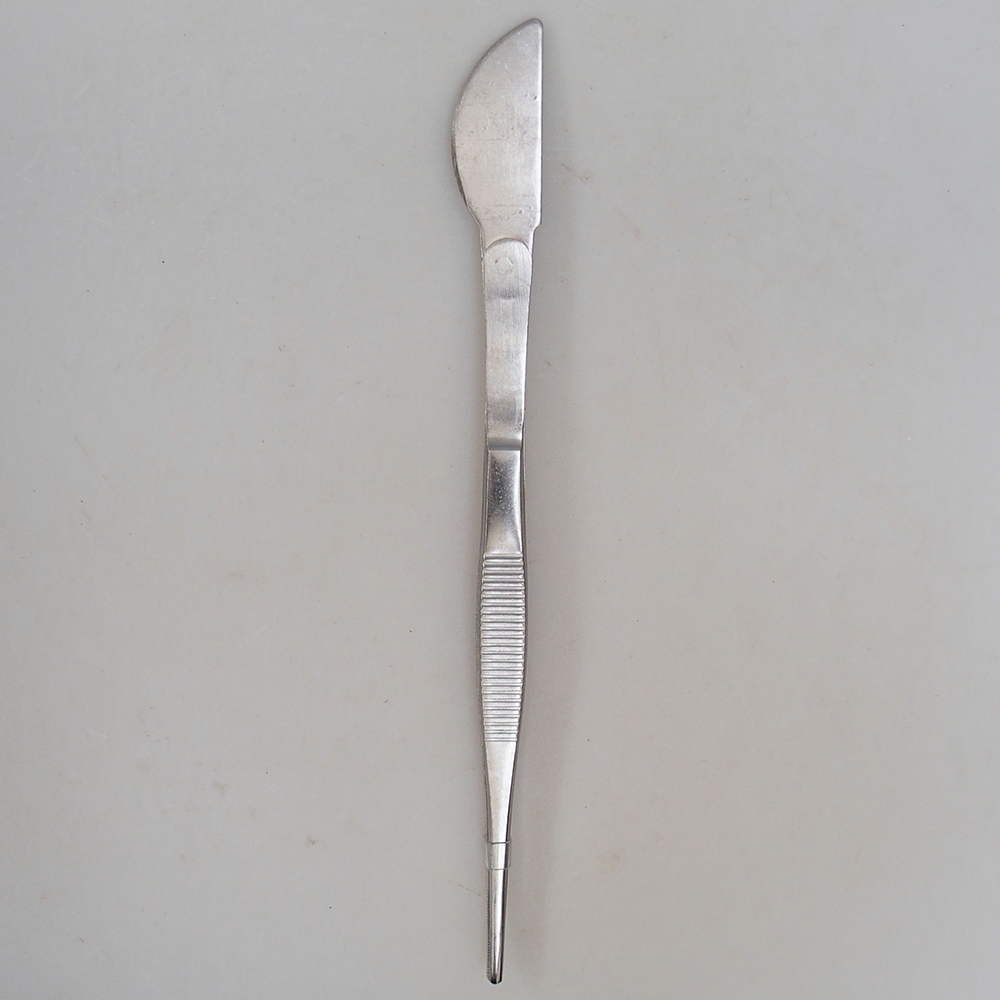 Spatel und Pinzette 22 cm - rostfreier Stahl