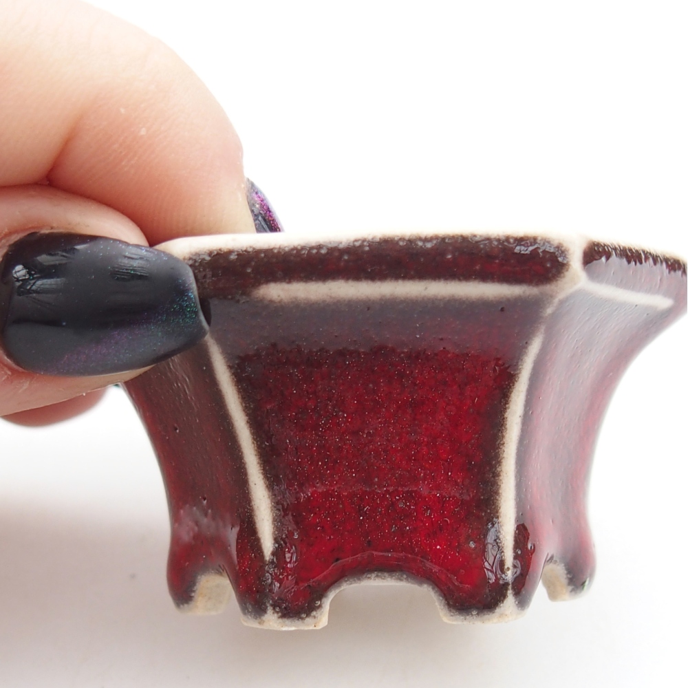 Mini-Bonsaischale 5,5 x 5 x 3 cm, Farbe rot