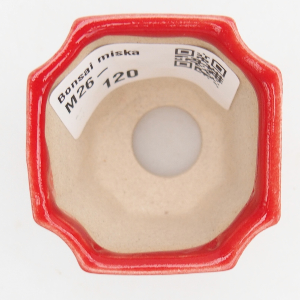 Mini-Bonsaischale 4,5 x 4,5 x 4 cm, Farbe rot