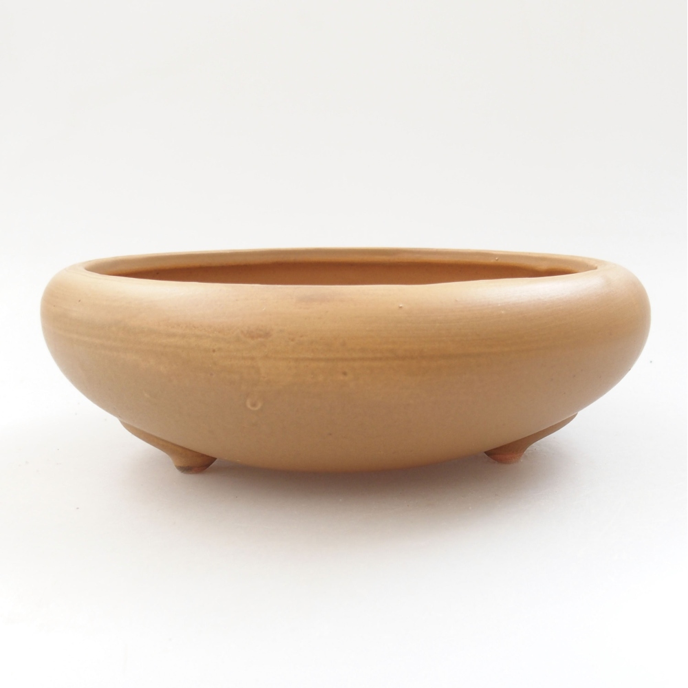 Bonsaischale aus Keramik 21 x 21 x 7,5 cm, Farbe beige