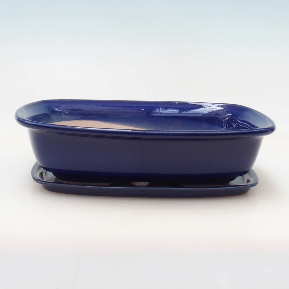 Bonsaischale + Untertasse H08 - 25 x 19,5 x 6 cm - blau