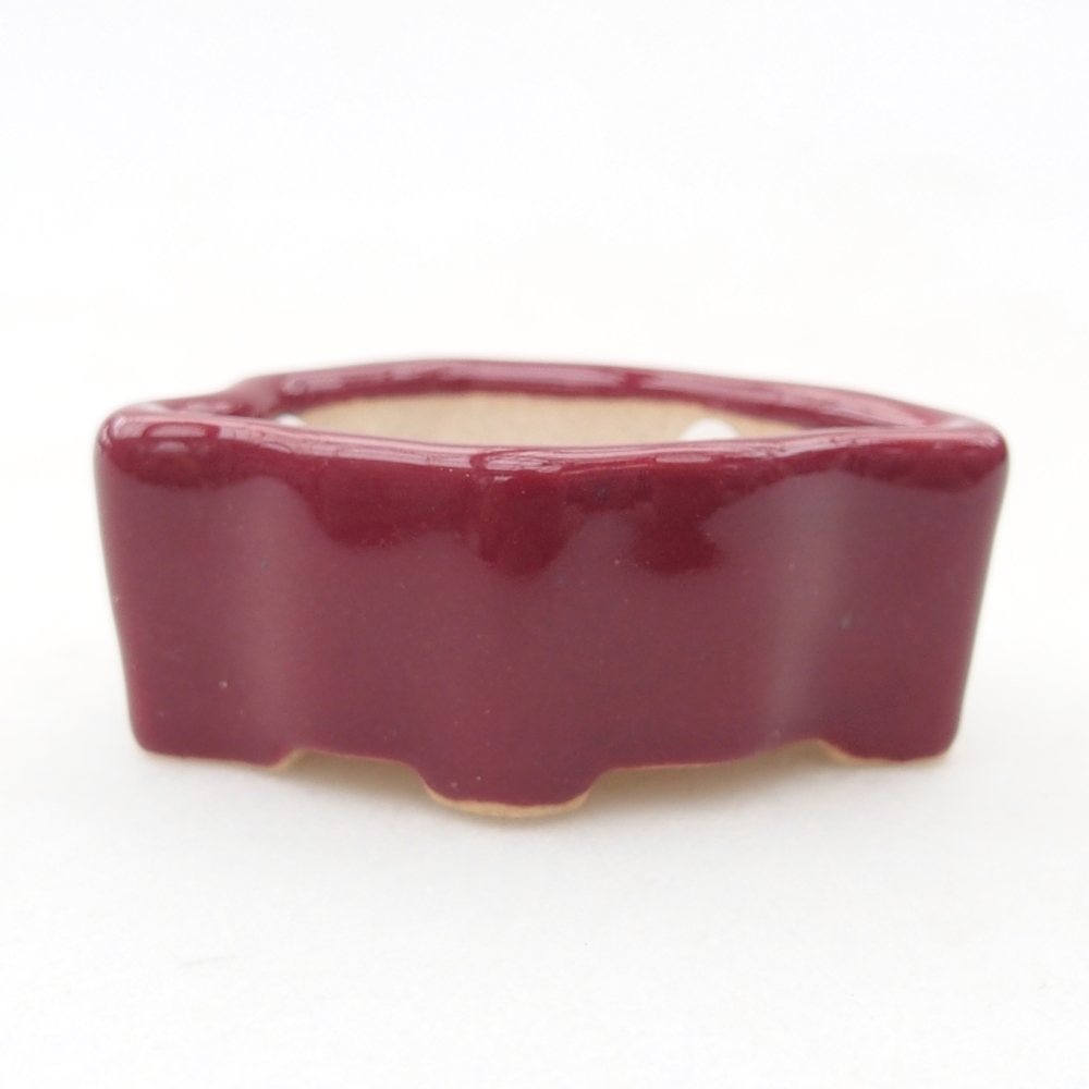 Mini-Bonsaischale 5 x 3 x 2 cm, bordeauxrot