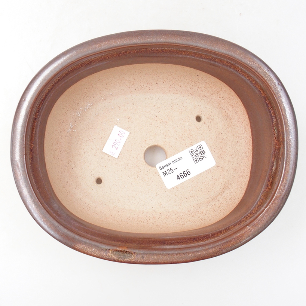 Bonsaischale aus Keramik 18 x 14,5 x 6 cm, braun