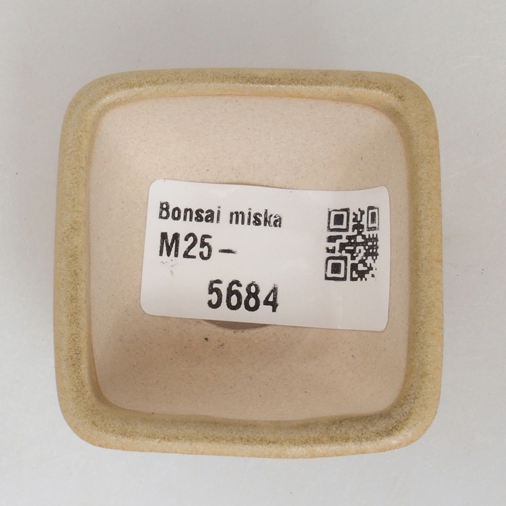 Mini-Bonsaischale 4,5 x 4,5 x 3 cm, braun