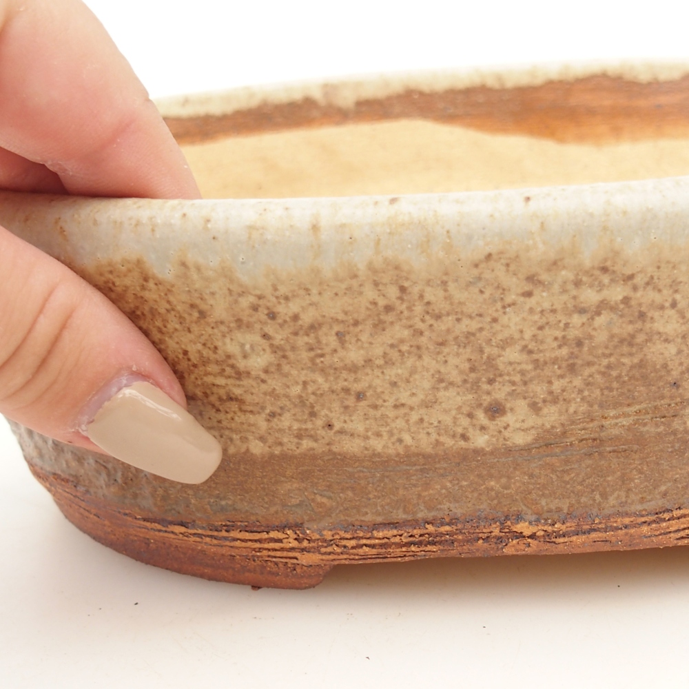 Bonsaischale 20 x 16 x 6,5 cm , Farbe beige