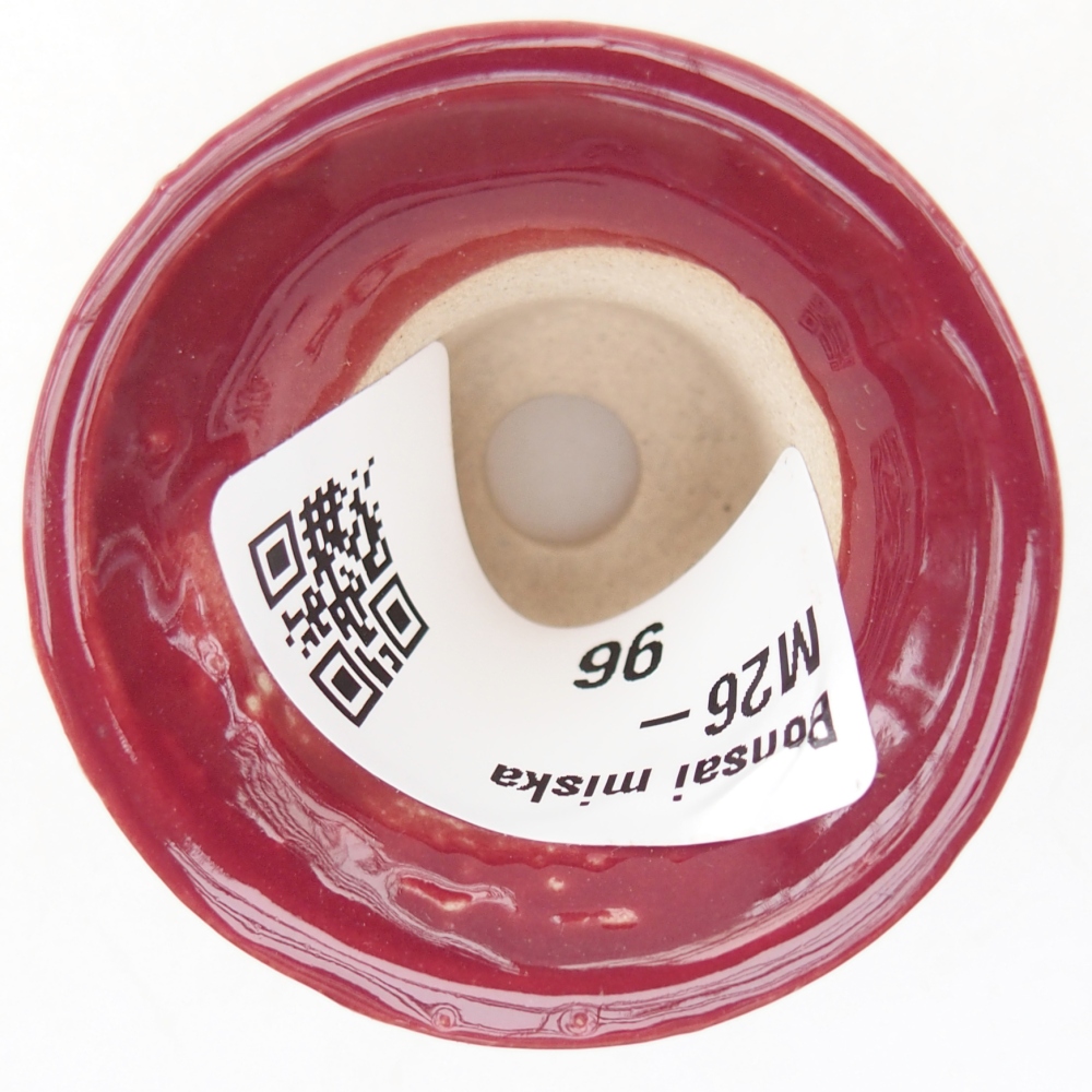 Mini-Bonsaischale 4,5 x 4,5 x 4 cm, Farbe bordeauxrot