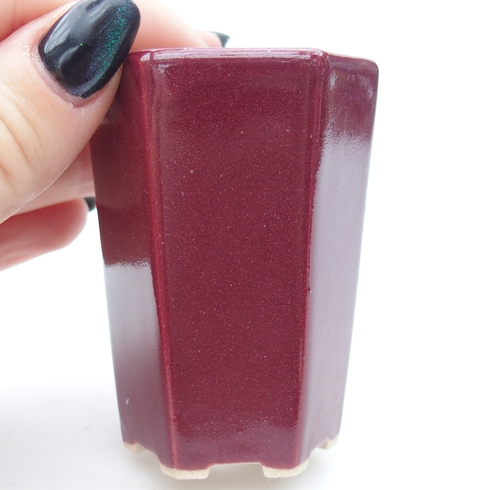 Mini-Bonsaischale 5 x 4,5 x 6,5 cm, bordeauxrot