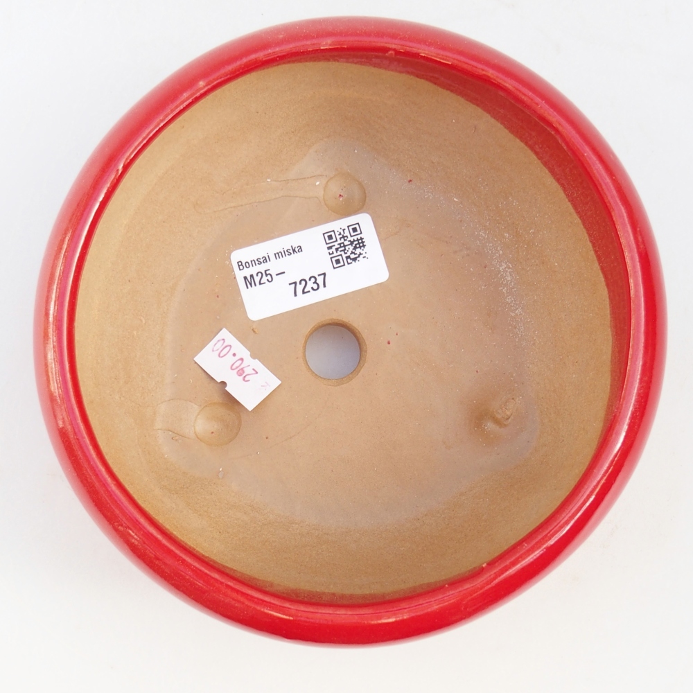 Bonsaischale aus Keramik 14,5 x 14,5 x 7 cm, Farbe rot