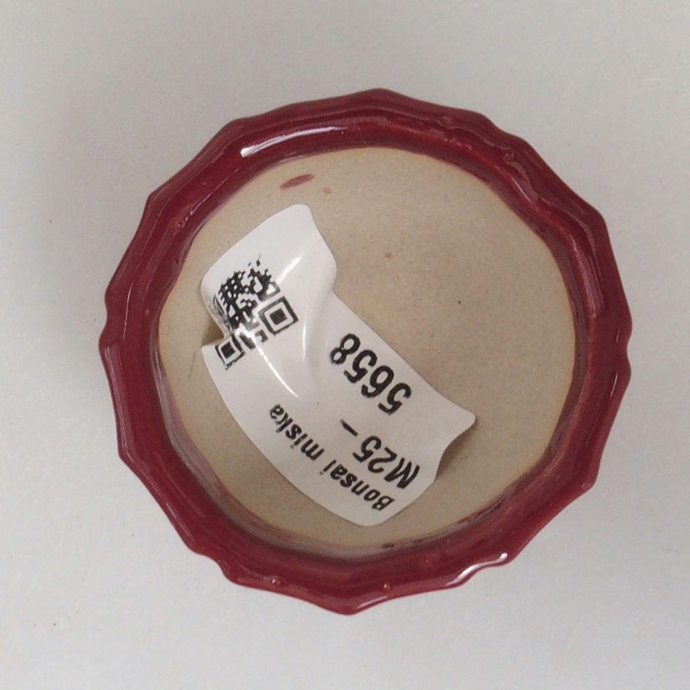 Mini-Bonsaischale 5 x 5 x 3 cm, bordeauxrot