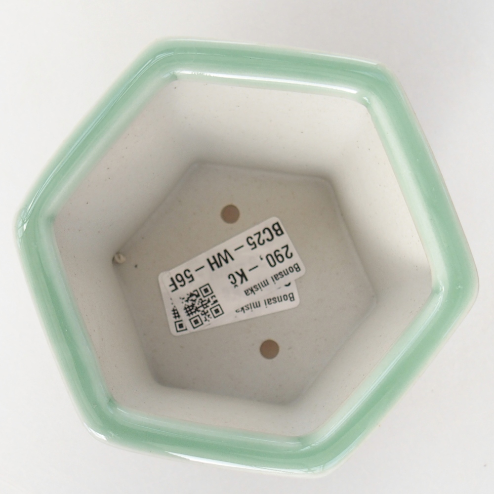 Bonsaischale aus Keramik 10,5 x 9,5 x 8,5 cm, grün