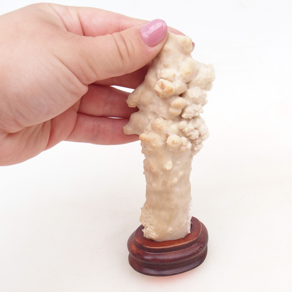 Suiseki - Stein mit DAI (Holzsockel)