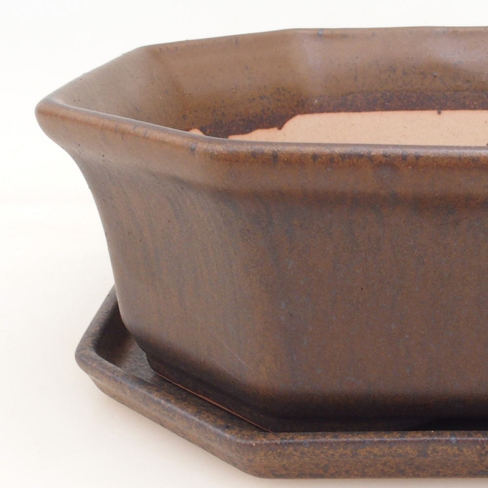 Bonsaischale + Untertasse H14 - braun