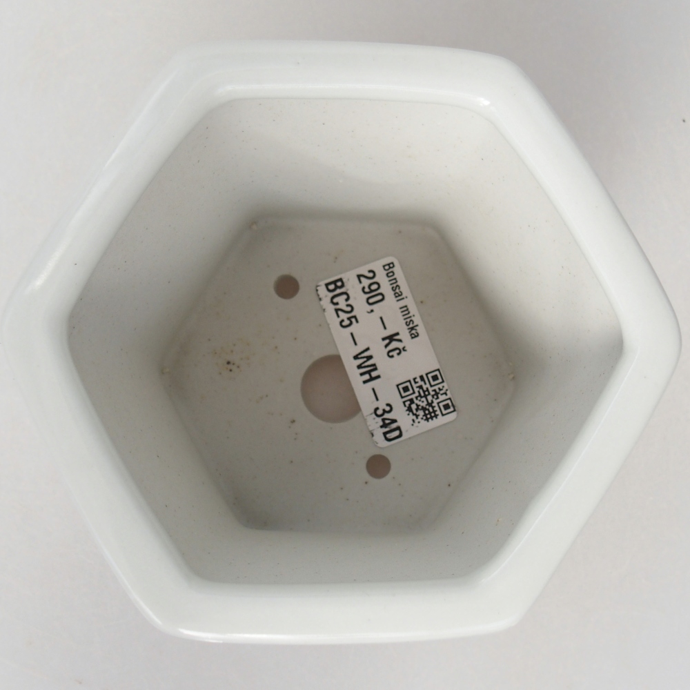 Bonsaischale aus Keramik 10,5 x 9,5 x 9 cm, Farbe weiß