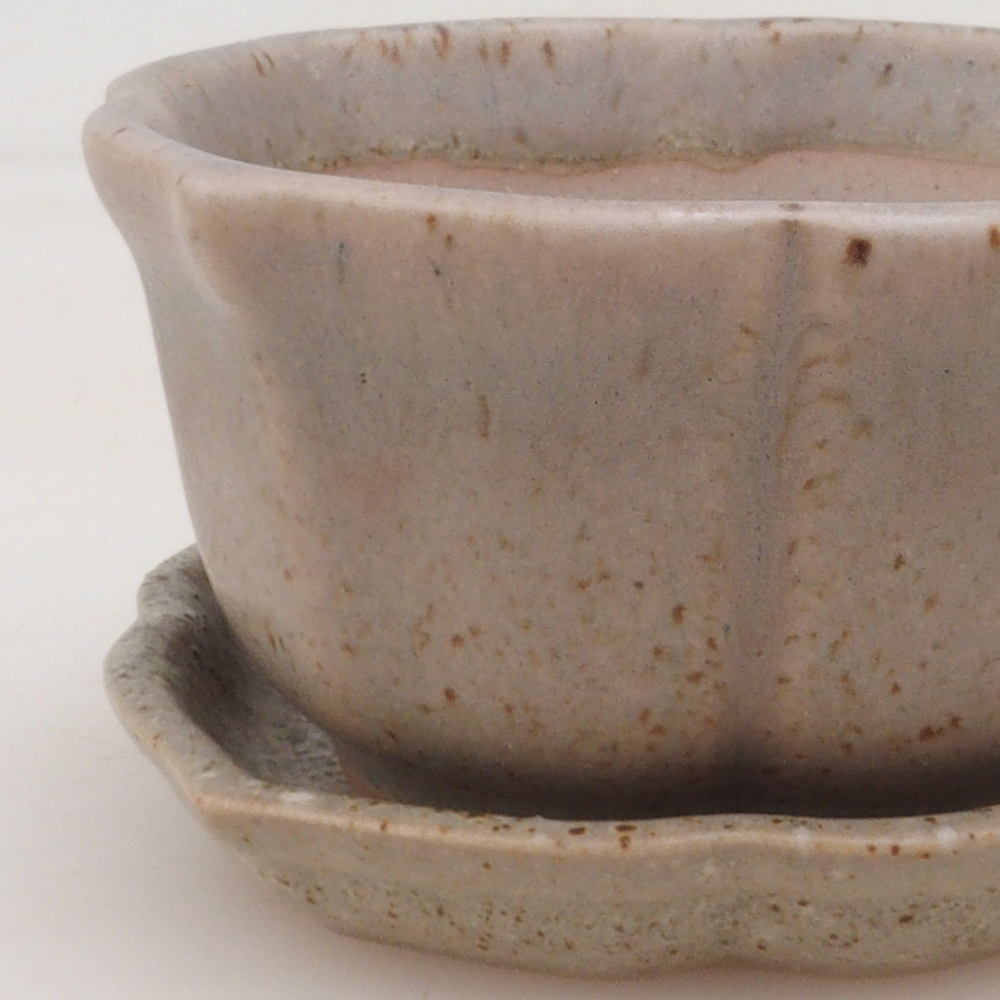 Bonsaischale + Untertasse H95 - beige