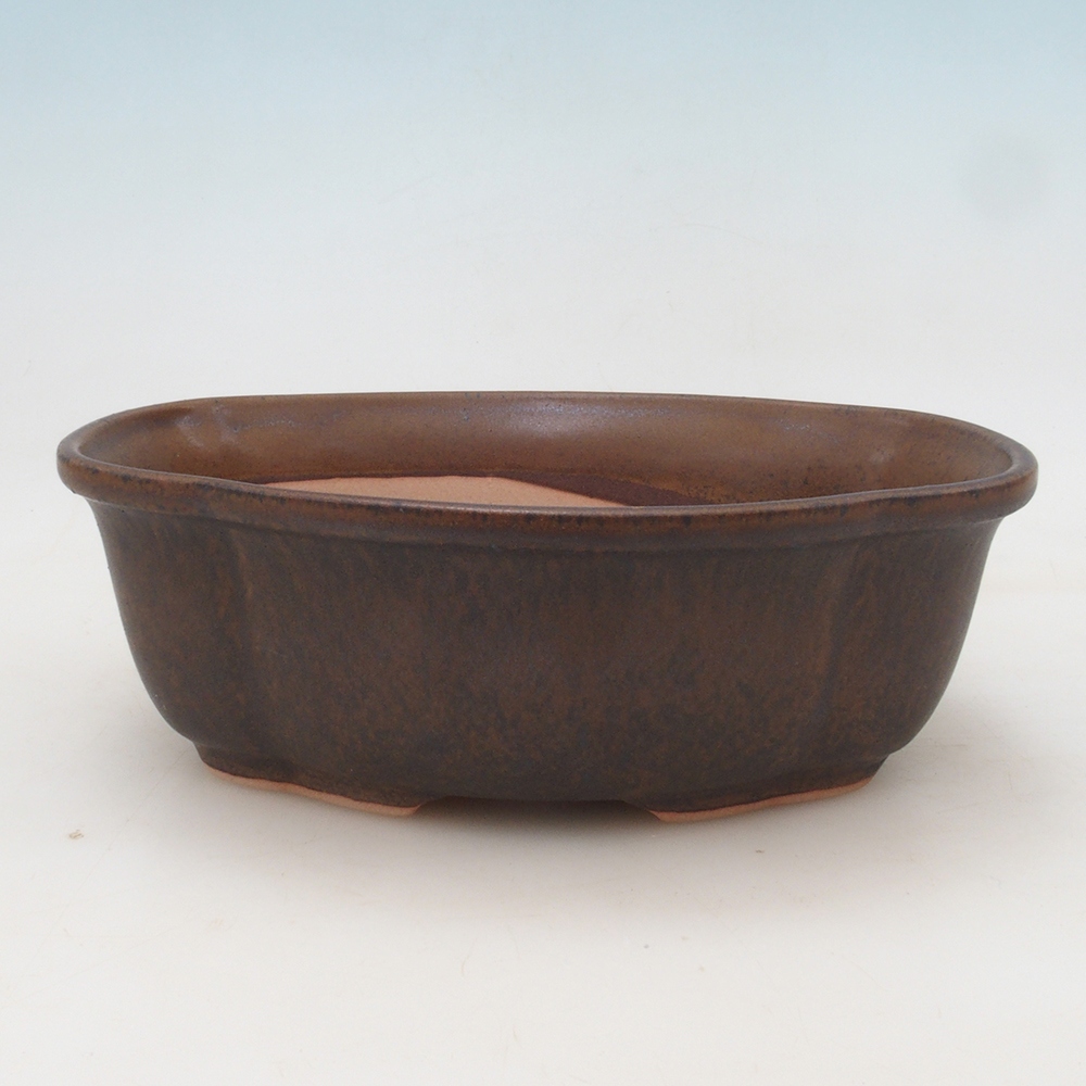 Bonsaischale H75 - 19 x 14 x 6,5 cm - braun