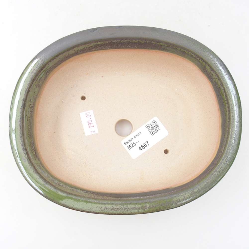 Bonsaischale aus Keramik 18 x 14,5 x 6 cm, grün