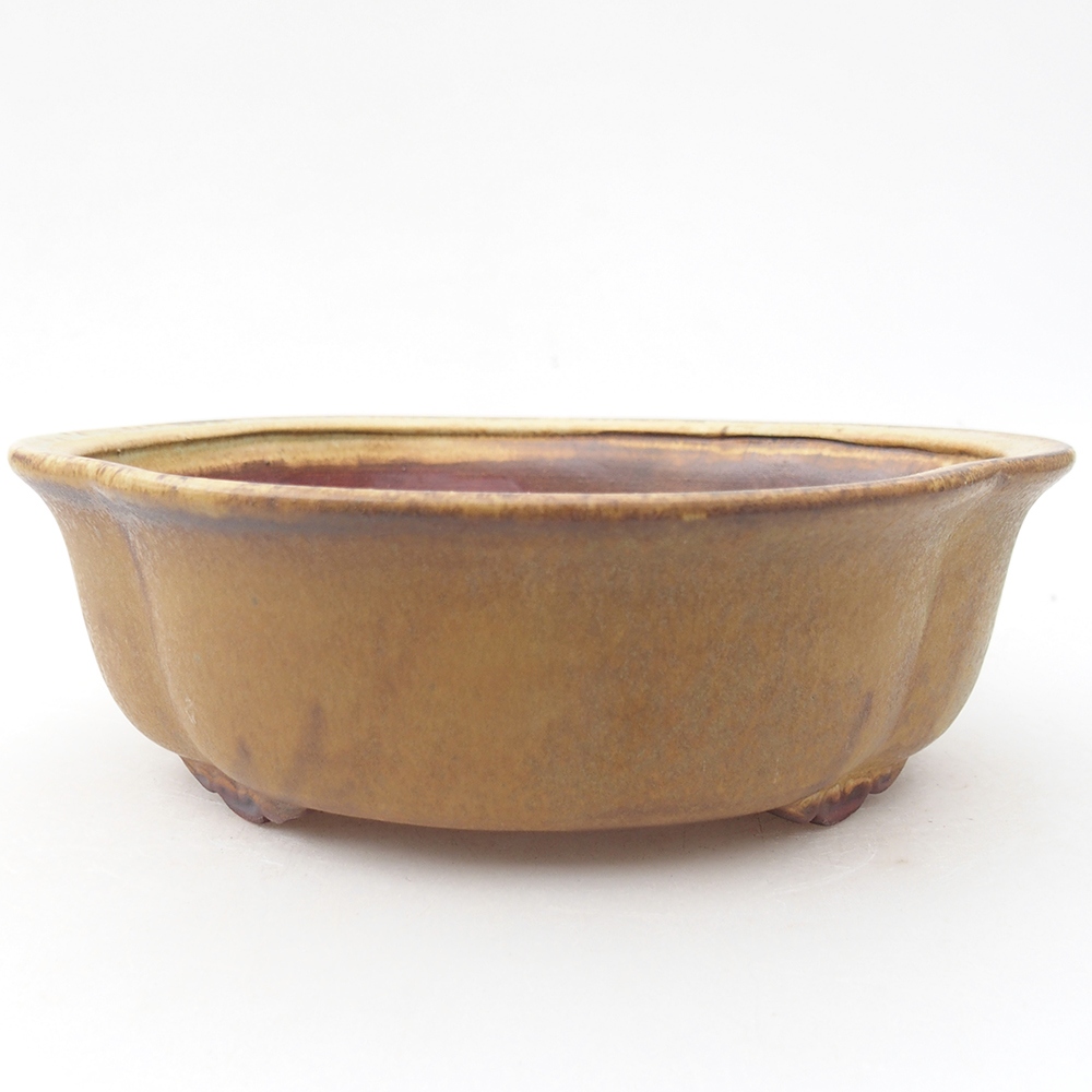 Bonsaischale aus Keramik 19 x 17 x 6 cm, grün