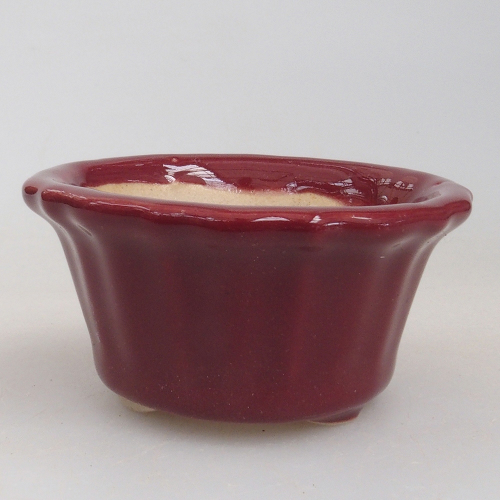 Mini-Bonsaischale 5 x 5 x 2,5 cm, Farbe burgunderrot