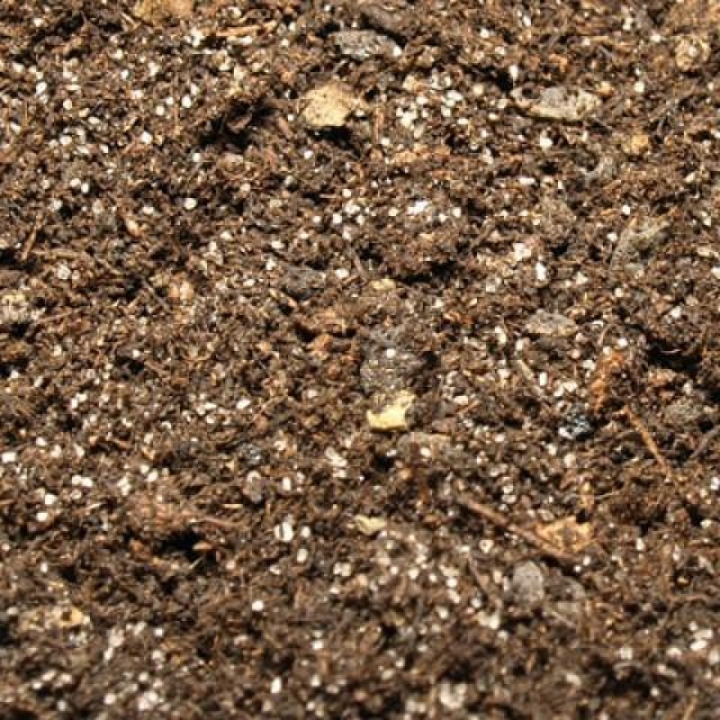 Bonsaierde 70 Liter - nur persönliche Abholung oder Palettentransport