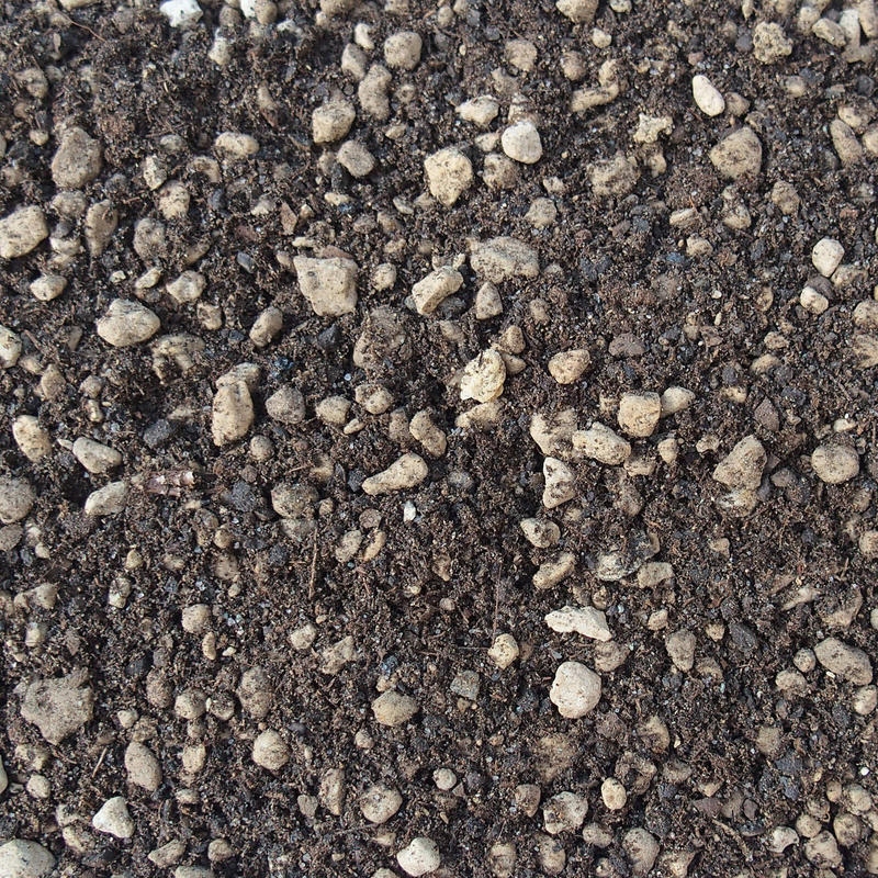 Bonsai Meister Bonsai Meister 2 Liter