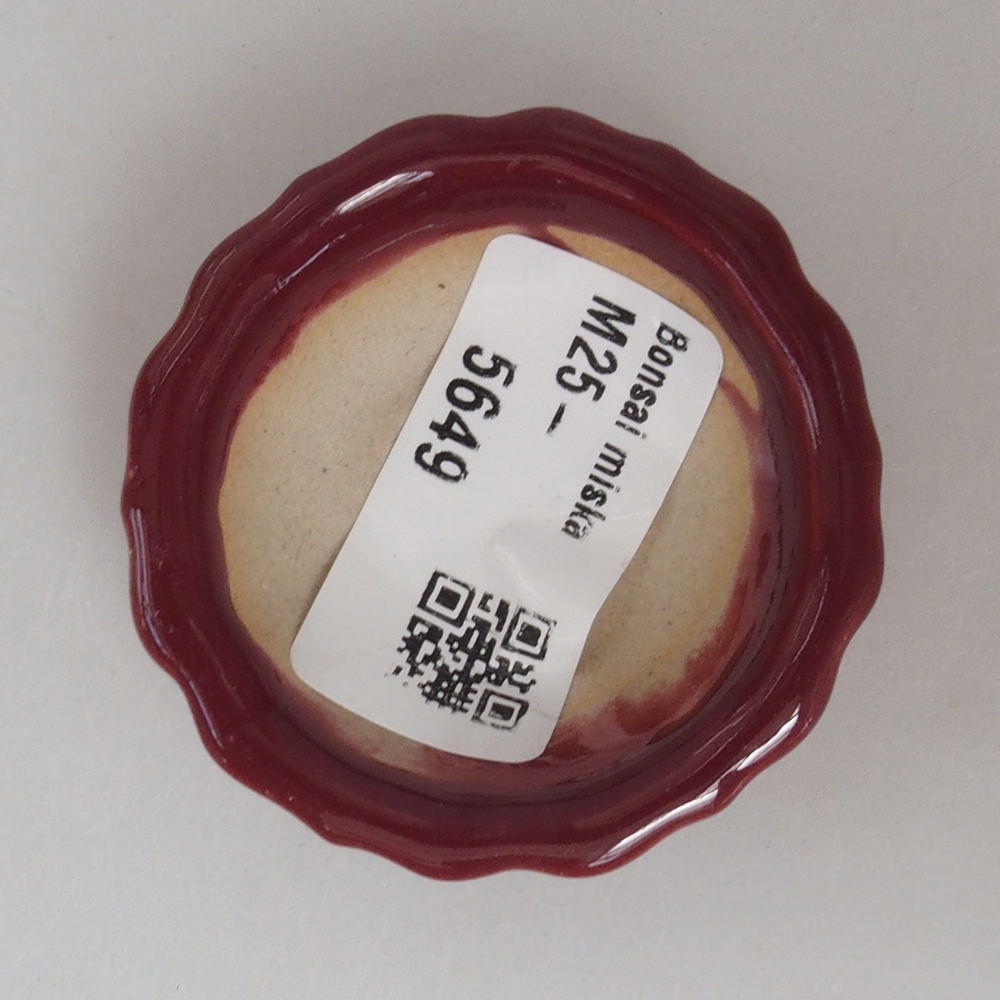 Mini-Bonsaischale 5 x 5 x 1,5 cm, Farbe burgunderrot