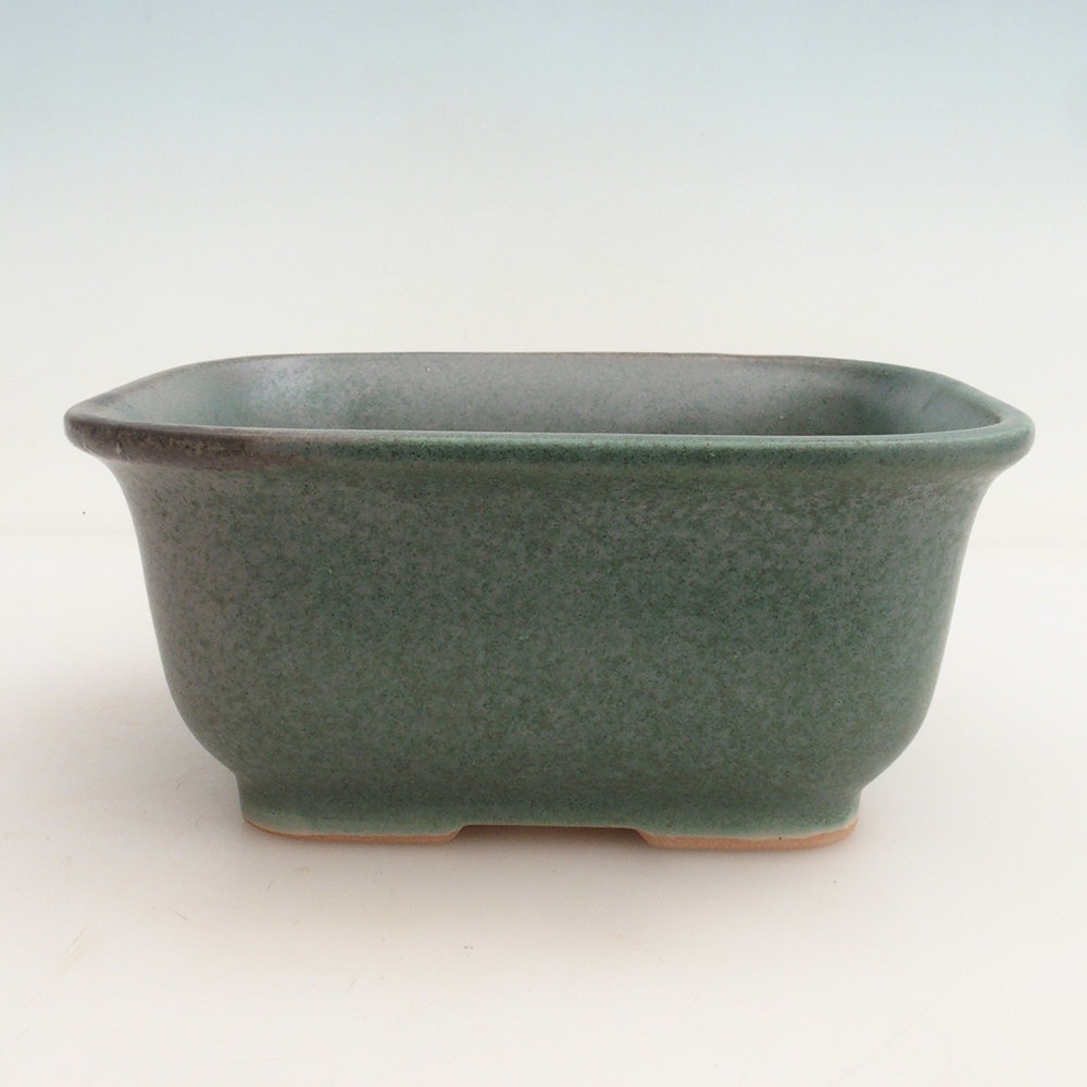 Bonsaischale + Untertasse H36 - 17 x 15 x 7,5 cm - grün