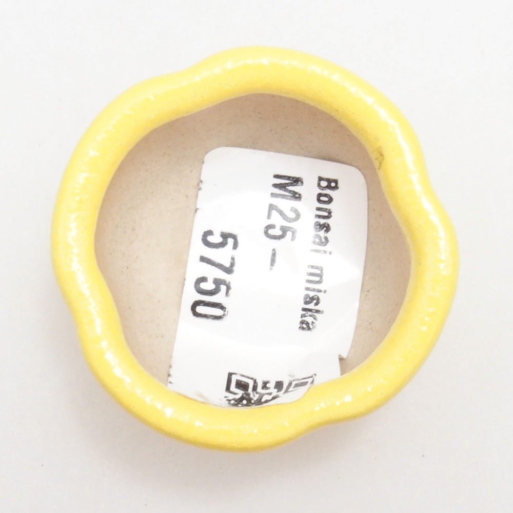 Bonsaischale aus Keramik 4 x 4 x 2 cm, gelb