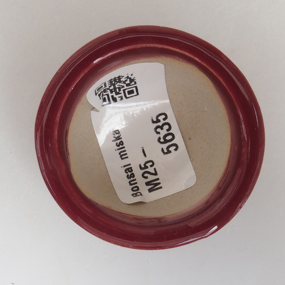 Mini-Bonsaischale 4,5 x 4,5 x 2,5 cm, bordeauxrot